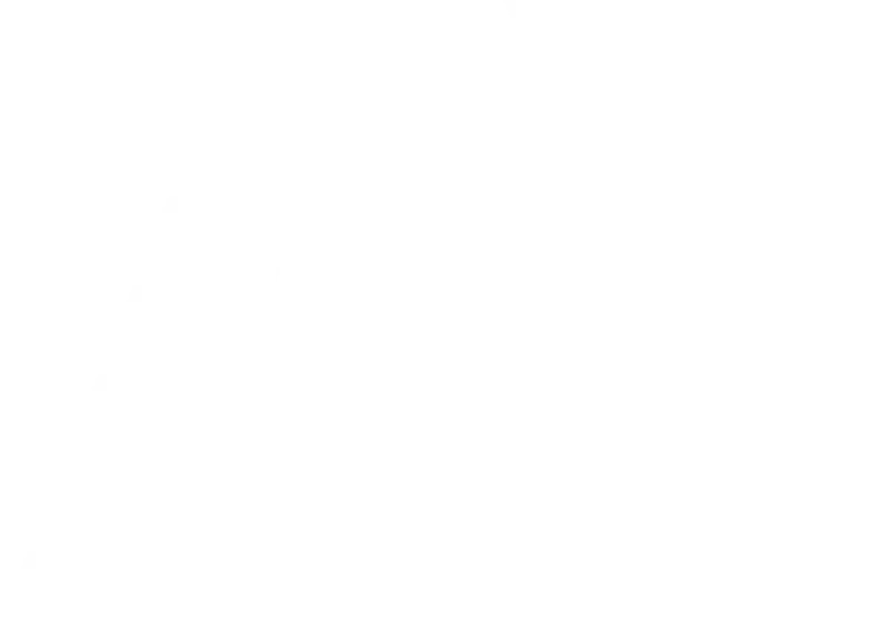 Anthropic